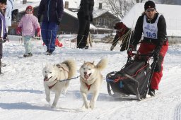 Lenk 2012 SM